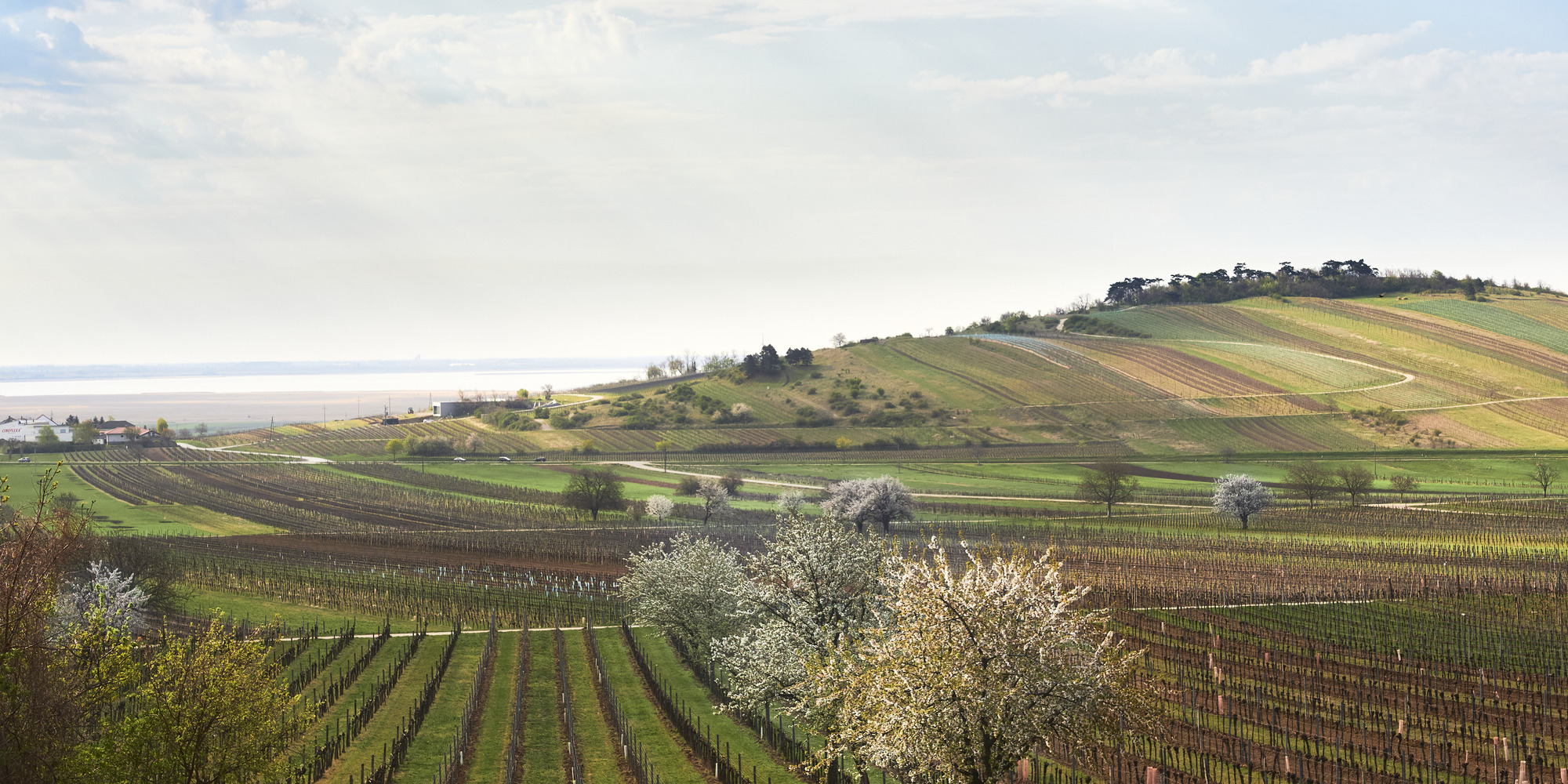 Radreise ins Burgenland